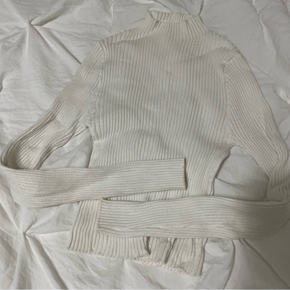 Ribbed Turtleneck Sweater